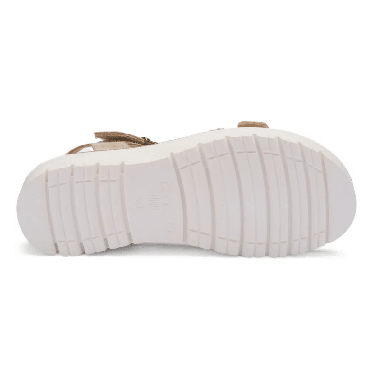 Ara Women's Buttercup Shell Metallic Leather - 9029662 - Tip Top Shoes of New York