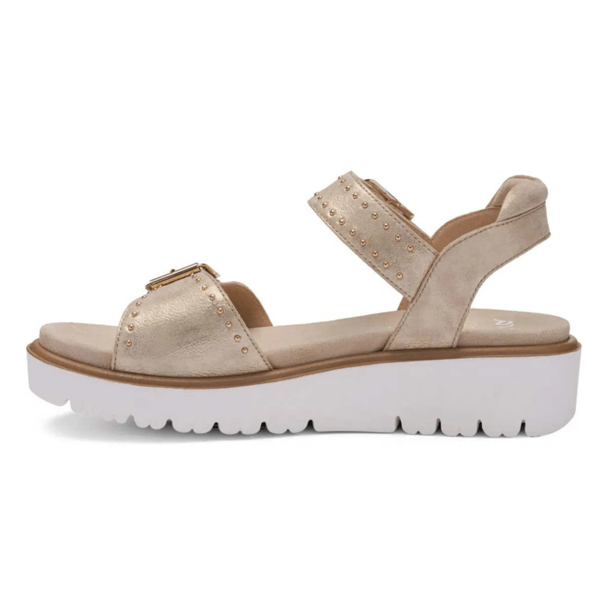 Ara Women's Buttercup Shell Metallic Leather - 9029662 - Tip Top Shoes of New York