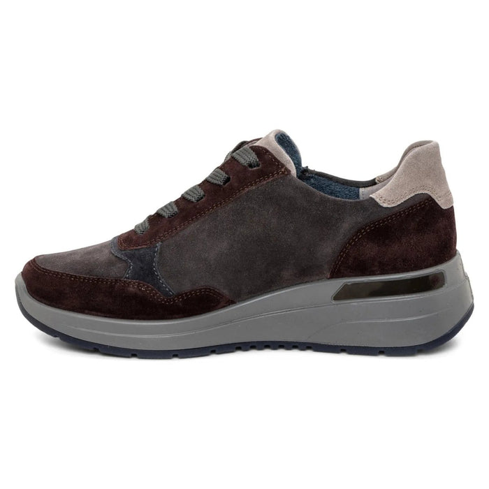 Ara Women's Gardenia Burgundy/Steel/Navy/Forest/Moon Suede - 9018636 - Tip Top Shoes of New York