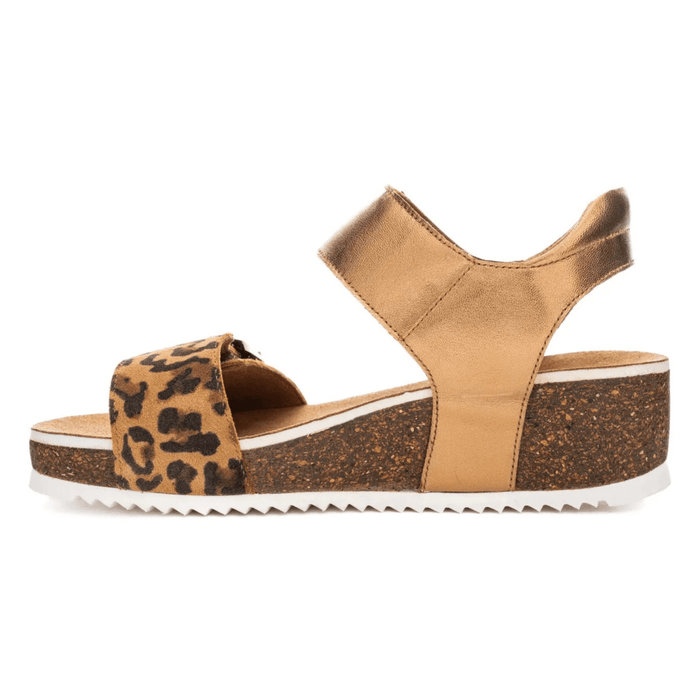 Ara Women's Nova Leopard/Whiskey Leather - 9021370 - Tip Top Shoes of New York