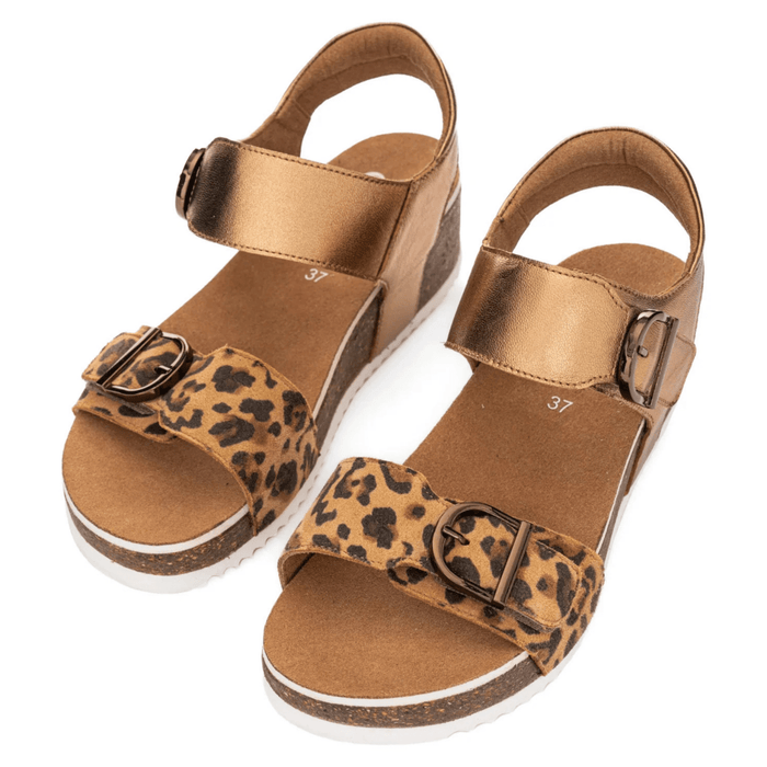 Ara Women's Nova Leopard/Whiskey Leather - 9021370 - Tip Top Shoes of New York