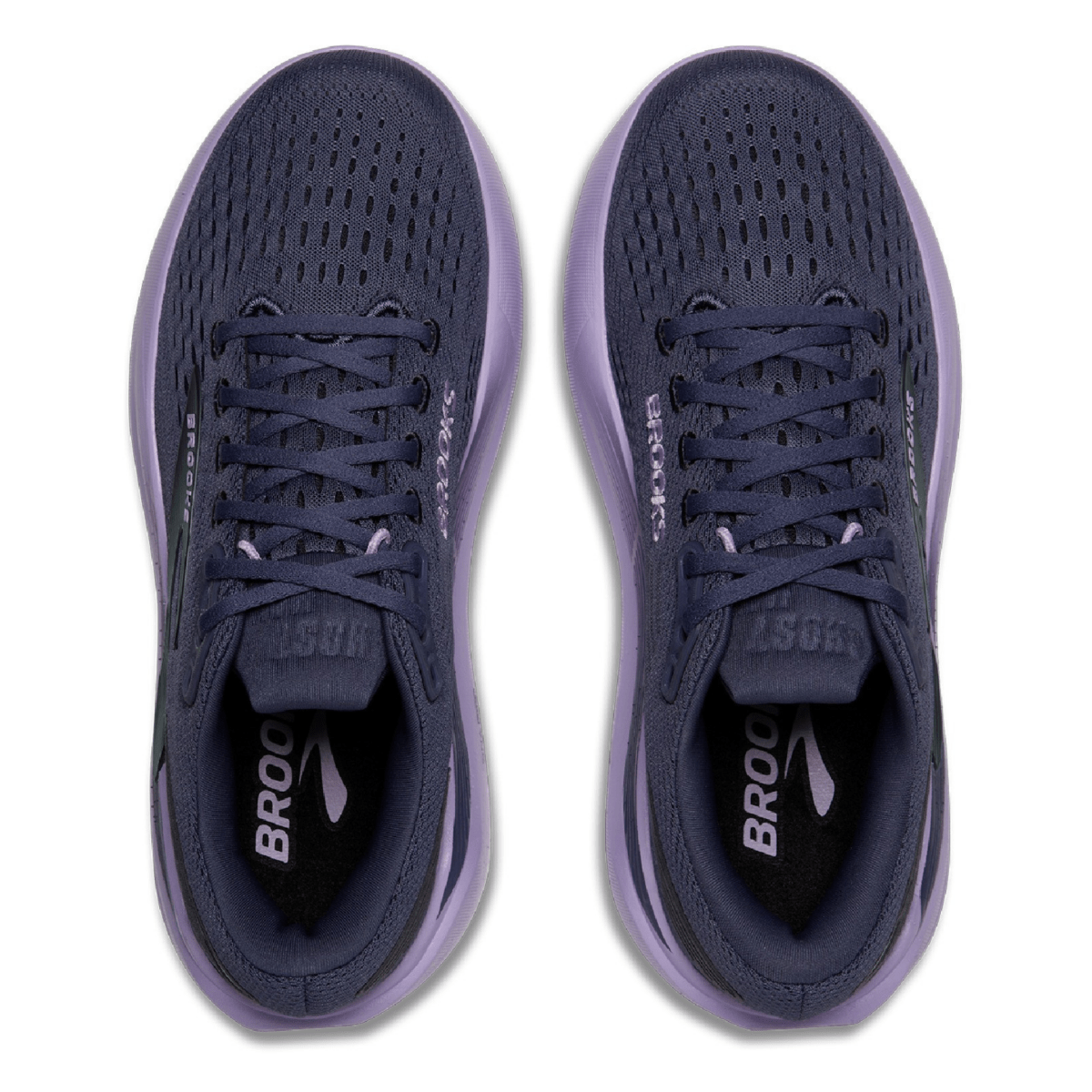 Brooks Women's Ghost Max 3 Nightshadow/Ebony/Purple - 11000902 - Tip Top Shoes of New York