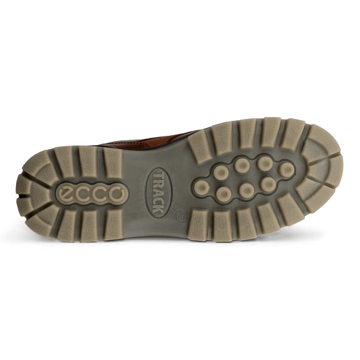 Ecco Men's Track 25 Low Gore - Tex Bison Nubuck - 5023082 - Tip Top Shoes of New York