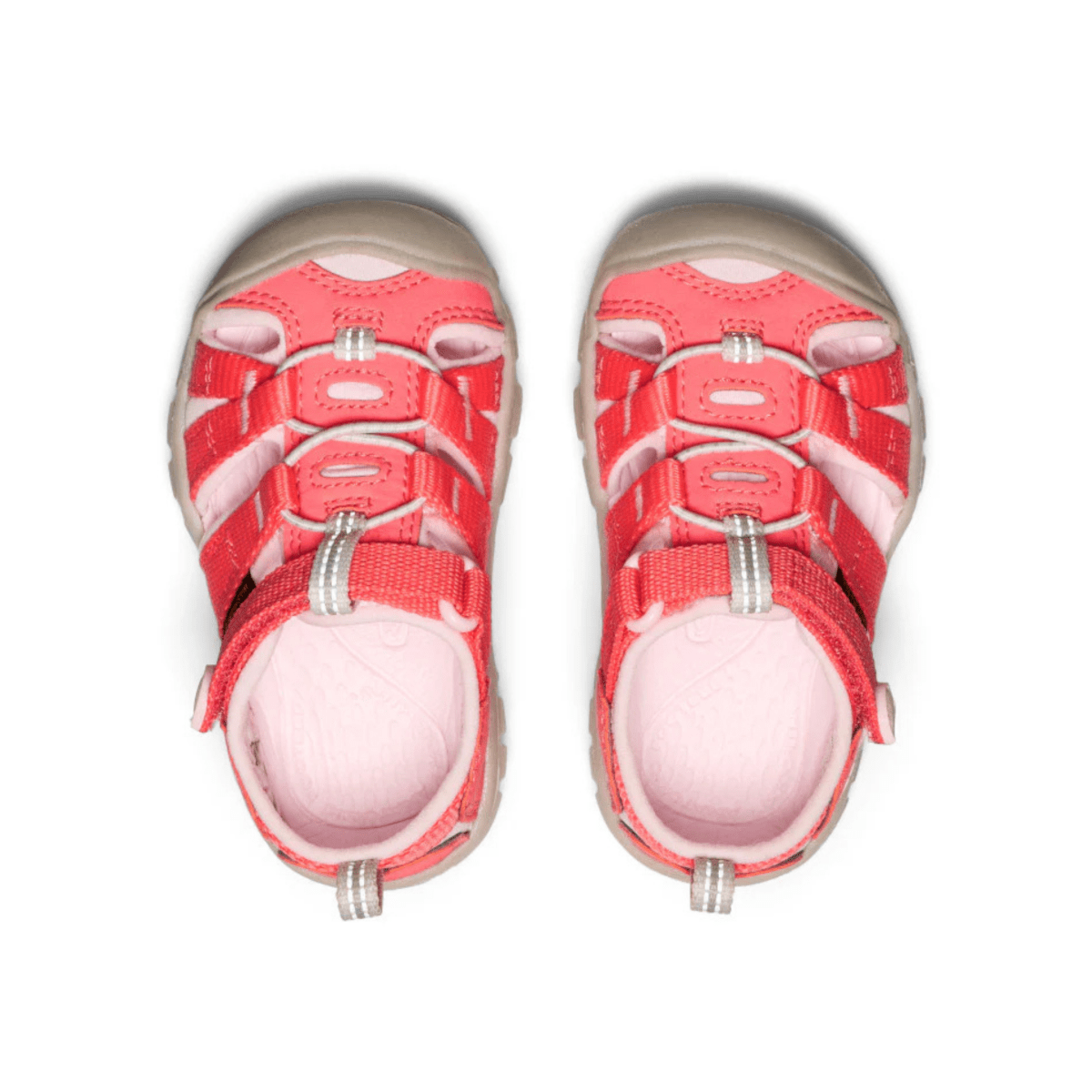 Keen Toddler's Seacamp II CNX Dubarry/Giggle Pink - 1095364 - Tip Top Shoes of New York