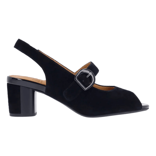 L'Amour Des Pieds Women's Merryn Black Kidsuede - 9022718 - Tip Top Shoes of New York