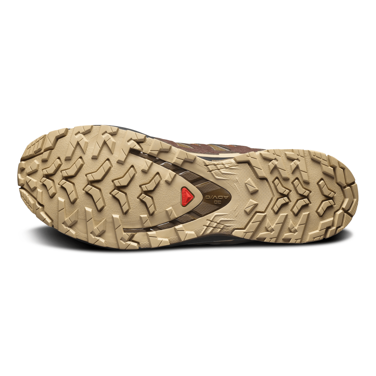 Salomon Men's XA Pro 3D V9 Gore - Tex Dark Earth/Desert Tan/Black - 11003520 - Tip Top Shoes of New York