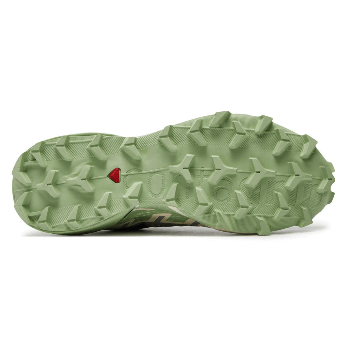 Salomon Women's Speedcross 6 Castlerock/Vanilla Ice/Smoke Green - 10058536 - Tip Top Shoes of New York