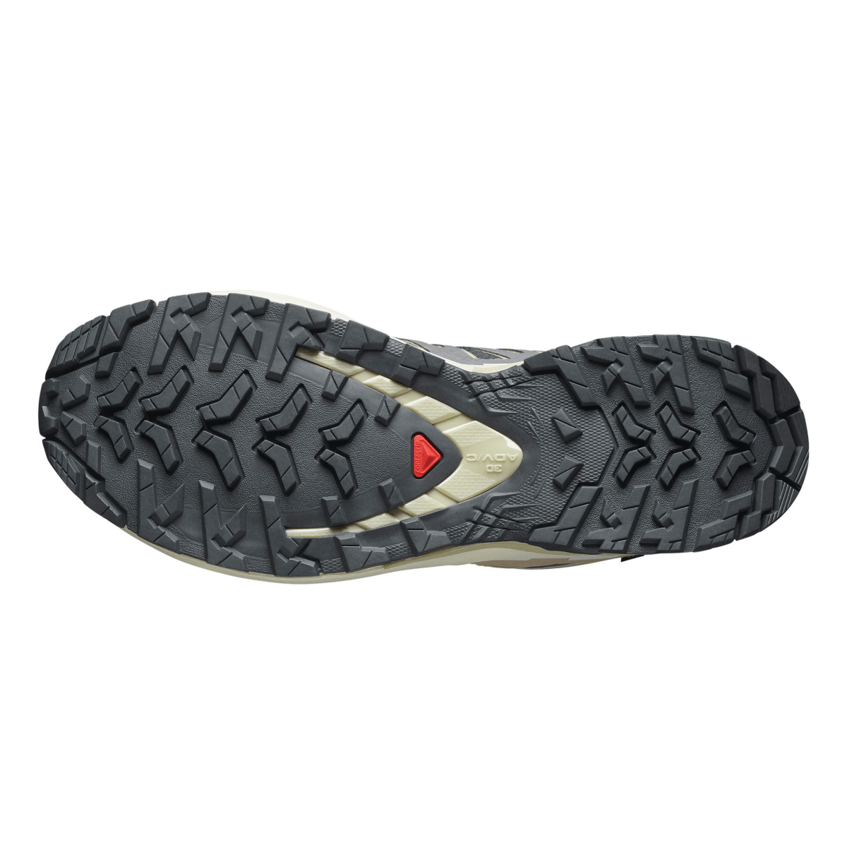 Salomon Women's XA Pro 3D V9 Gore - Tex Nine Iron/Oxford Tan/Alfalfa - 11003552 - Tip Top Shoes of New York