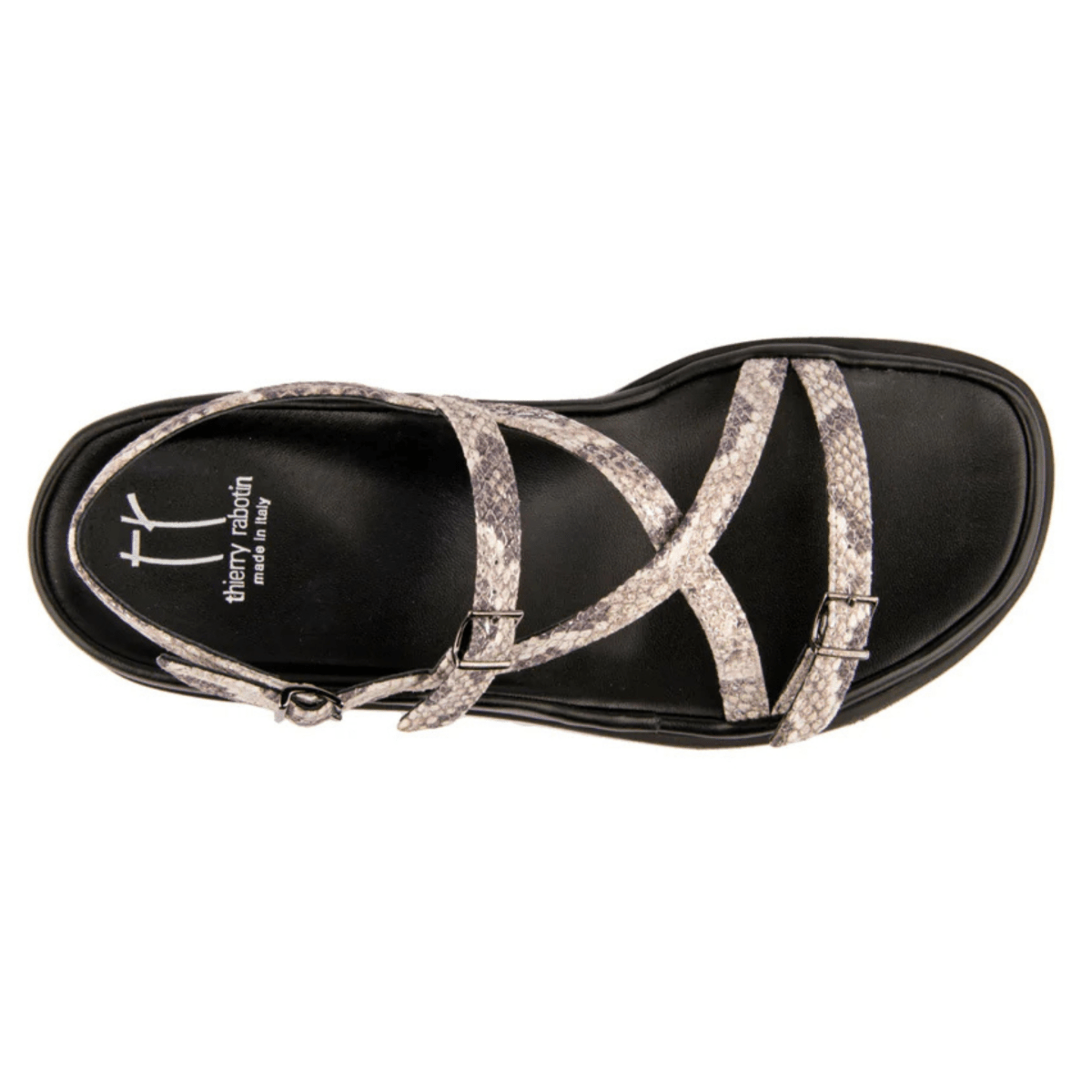 Thierry Rabotin Women's Wave Snake Print - 9022529 - Tip Top Shoes of New York