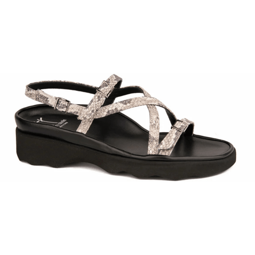 Thierry Rabotin Women's Wave Snake Print - 9022529 - Tip Top Shoes of New York