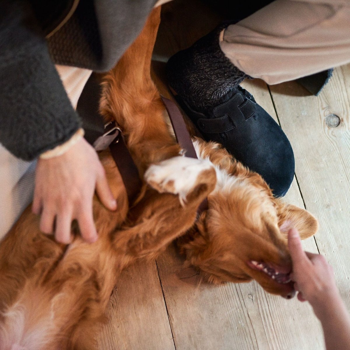 Birkenstock Women's Boston Black Suede/Shearling - 1028520 - Tip Top Shoes of New York