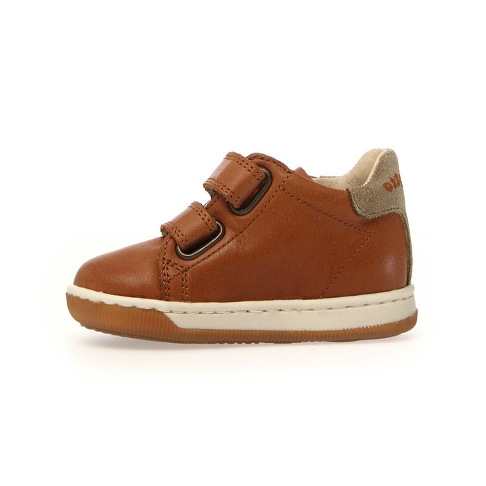 Naturino Toddler's Adam Cognac - 1072366 - Tip Top Shoes of New York